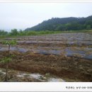 송암농장 이미지