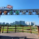 보라지구 입구 삼거리 이미지