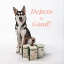 pet129다9885 | 내돈내먹! 반려견 관절 영양제 비교 고민 끝!|디페토 굿 조인트 급여 후기|반려견 슬개골 관절 관리