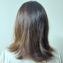 소생의원 | 푸석한 머릿결 심폐소생! 향기까지 완벽한 블라세아 아르간오일 헤어에센스 추천