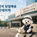 굿데이축산 | 센트럴시티터미널 아이스박스 배송｜마장동 소고기 당일배송