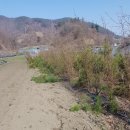 (주)모과