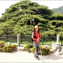 엄상궁 이미지