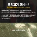 하이출장스팀세차