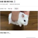 [공연] 홍대 라이브 클럽데이(라클데) | 종합 밴드 오마카세 | 홍대 사랑해