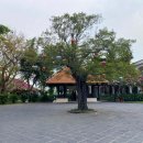 스프링베일리조트 | 호이안 올드타운 숙소 아난타라 리조트 숙박 후기 부대시설 및 주변 가볼만한 곳