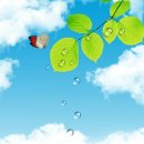 김영귀환원수 이미지