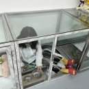 댕댕이 이쁘개 이미지