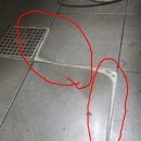 청원상사 | 청원상사 백화제거제 후기, 왜 어떤 분들은 효과 없다고 할까?