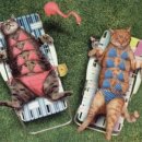 고냥이네 이미지