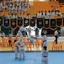 고일태권도 이미지