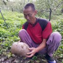 산내면 입석마을 이미지