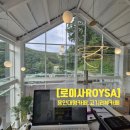 고기초등학교 | 마운틴뷰[로이사ROYSA] 고기리카페,용인대형카페,용인베이커리카페,용인애견동반카페,고기리마운틴뷰,숲...