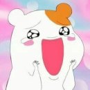 엣파니니 이미지