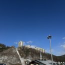 [백패킹] 강원도 정선 자작나무숲 백패킹 : 역대급으로 추웠던 극극동계 백패킹