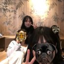 정앤영