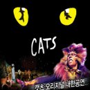 (공연) 캣츠 오리지널 내한공연3 이미지