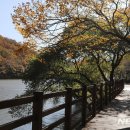 입곡군립공원(운동장앞) 이미지