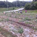 평화남산동주민센터 이미지