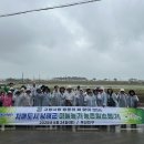 부산진구청 이미지