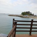 모사금 Daum카페