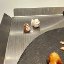 오락카페홈플러스하남점 | 커피랑 디저트 먹는 일상 : 하남 잠실 카페 빵집 (스콘 맛집 내돈내산)