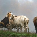 주식회사 하정 이미지