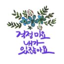 마그놀리아