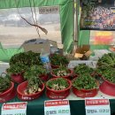 여디디야 양봉원 이미지