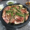 낭낭오리 이미지