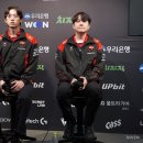 주식회사 펫메이드 이미지