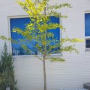 서로소 | 강릉풀빌라 찾다가 정착한 초당동 감성 숙소 초당 서로소 후기