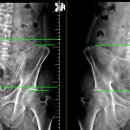 강남마디척의원 이미지
