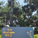 백제항공여행사 이미지