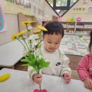 썸머힐시흥어린이집 이미지