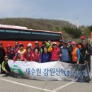 골드바니 Daum카페