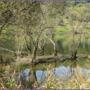 로하스 해피로드 이미지