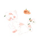 하귤과보리 이미지