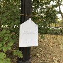 평촌도서관 앞 이미지