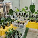 월롱농장 이미지