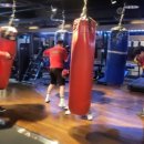 용인대 SM복싱클럽 5관 이미지