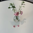 헬로, 멜로 | 대전 갈마동 분위기 좋은 카페 멜로 후기