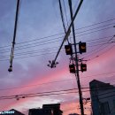 흥부찜닭X삼겹본능 | [추억주의] 양구 없어진 맛집들 "9곳" 너무 아쉽다구양..ㅠㅠ