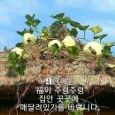 반갑소 이미지