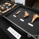 익산쌍릉 이미지