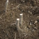 경산농장 이미지