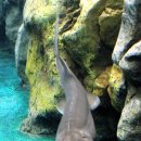 롯데월드아쿠아리움 이미지