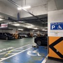 긴자인도레스토랑 | 고잔동맛집 안산인도커리 찾는다면 긴자 인도 레스토랑