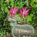 도혜원민박 이미지