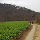 효제요양병원 Daum카페